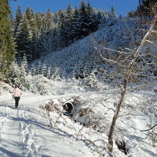 Winter-Wonderland Patscher Alm