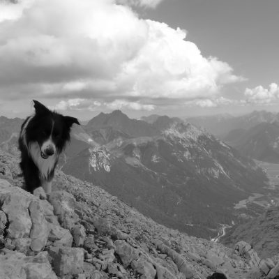 Hohe Munde (2.662 m)