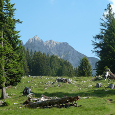 Vordere Brandjochspitze (Südgrat)